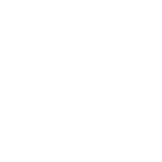 the reporter
